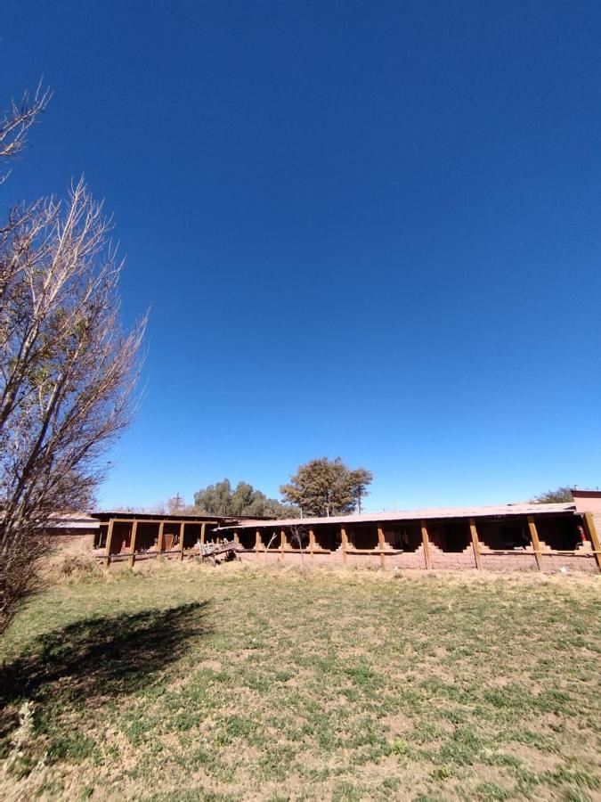 Puna Hostel San Pedro de Atacama Eksteriør billede